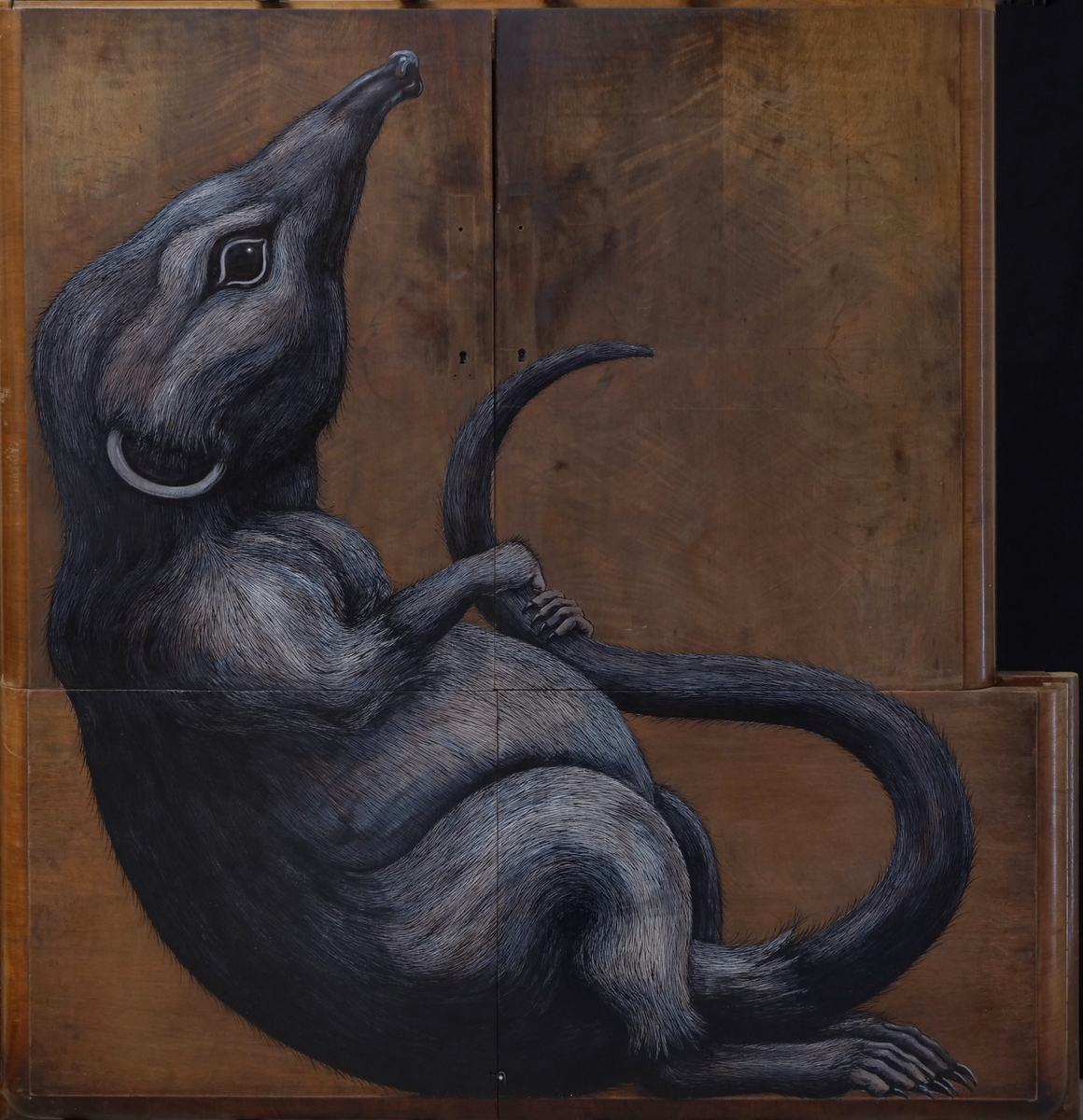 SORICIDAE MMXVIII (shrew) 
