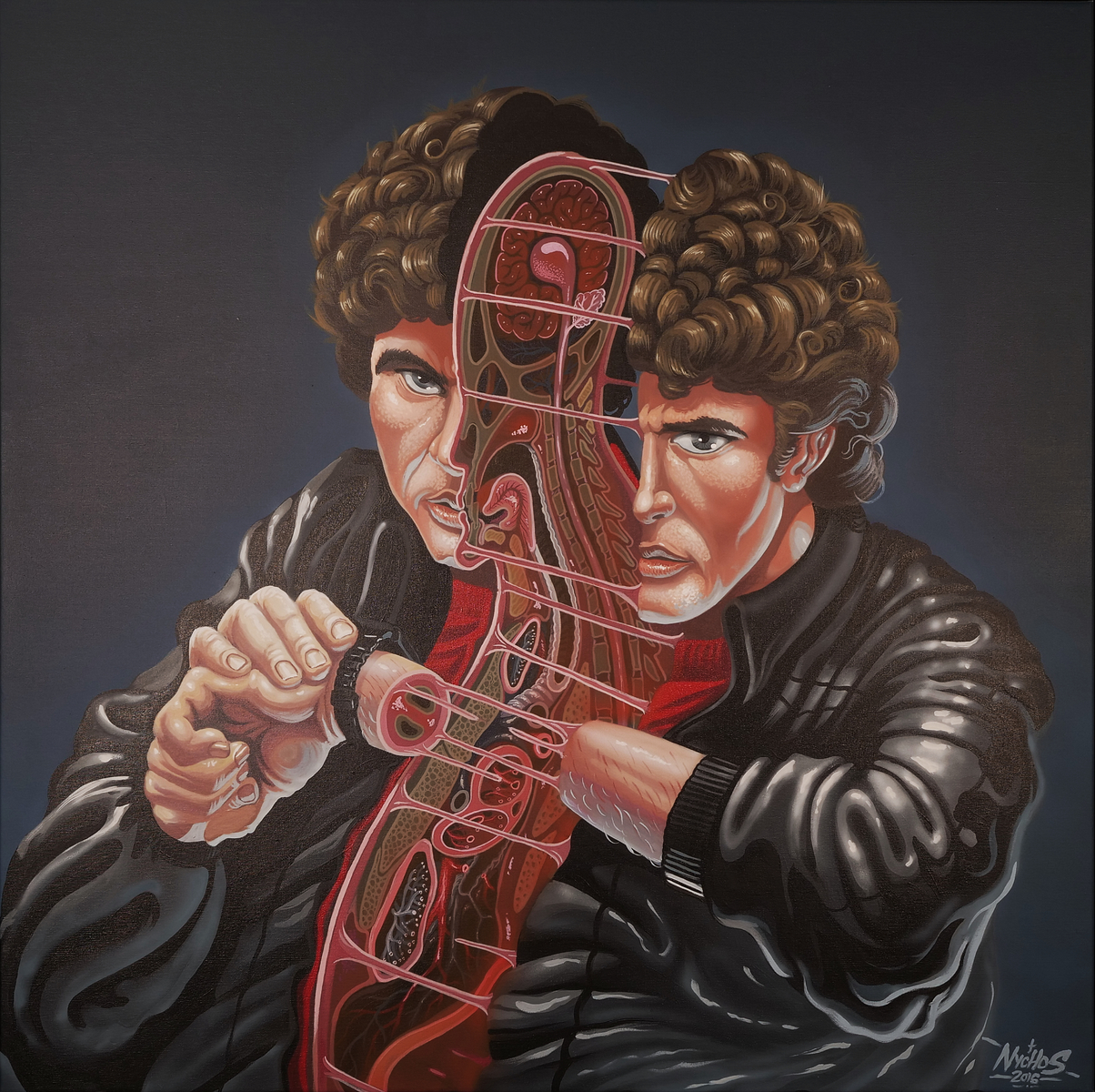 Cross Section of Hasselhoff