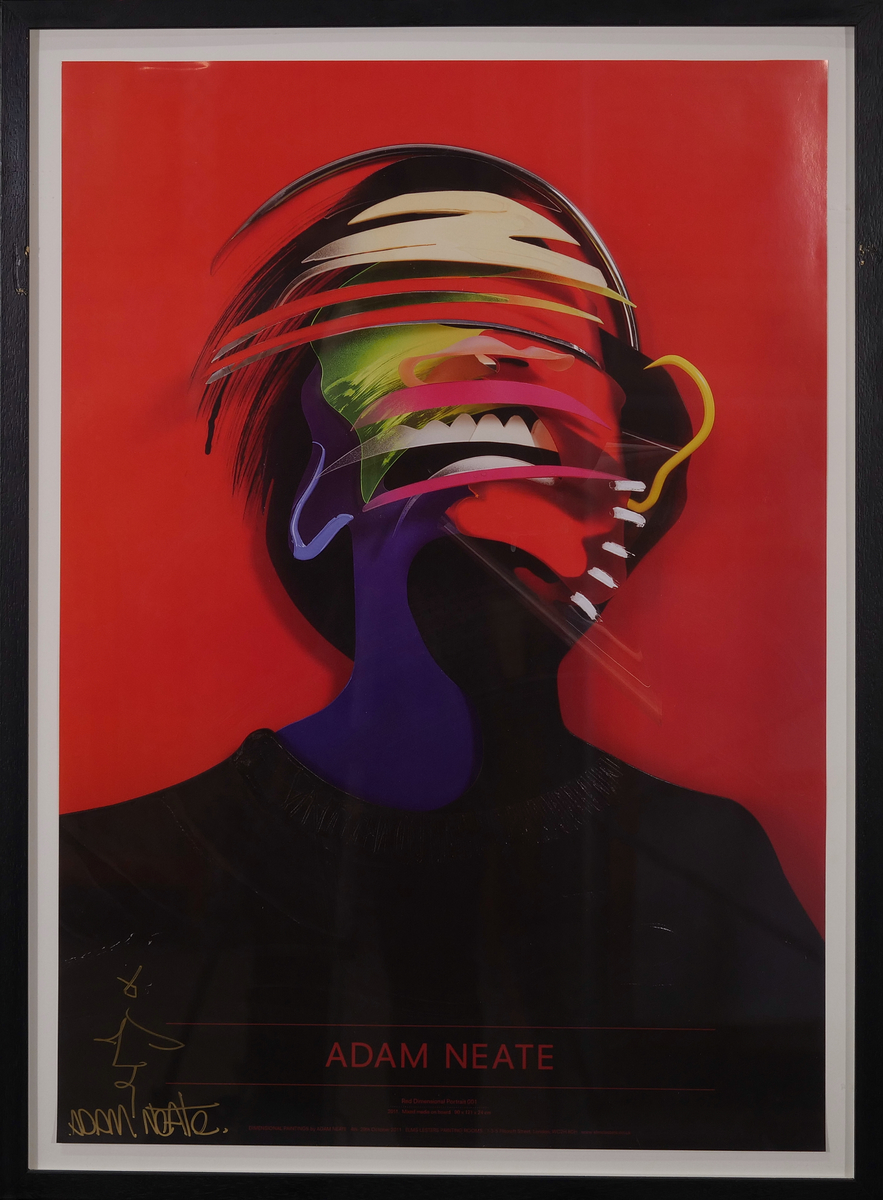 Red Dimensional Portrait